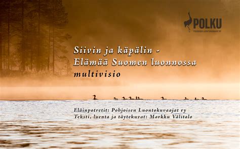  Lupiinisala: Näkyvä ja Liikehtimenä Pohjoisen Vesissä